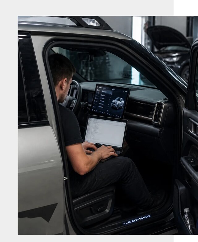 Русификация BYD Leopard 3 в Россоши по цене от 20634 р. | ФастМобиль-Рсс